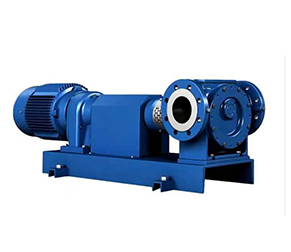 ROTAN® GP―通用型泵